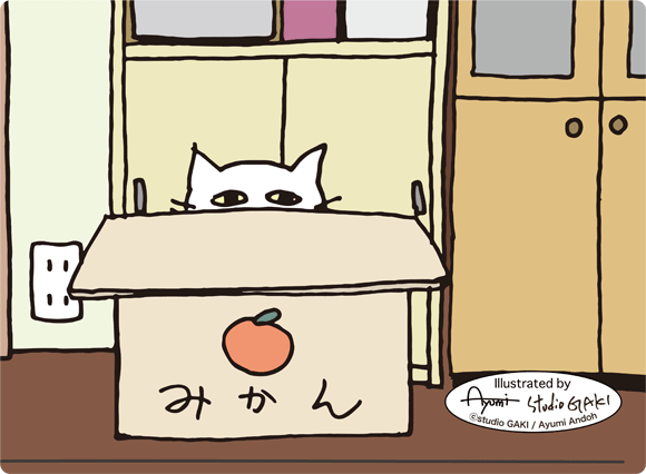 150225_cat_in_the_box